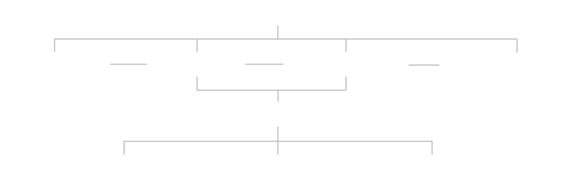 Struktur organisasi